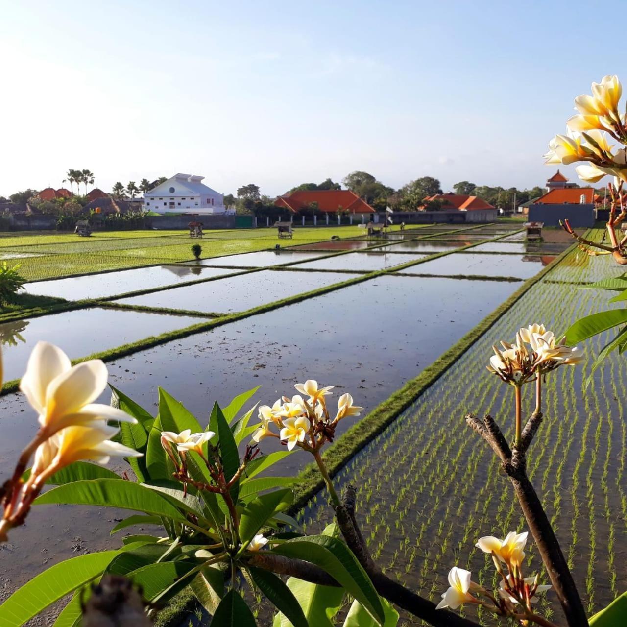 The Avani Villas Kuta Lombok Esterno foto